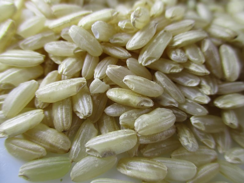 Italian Risotto